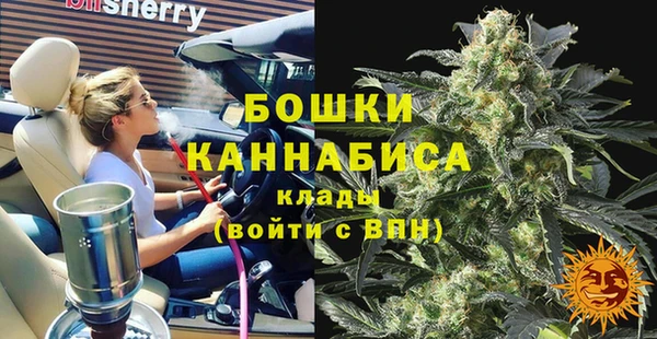 эйфоретик Бородино