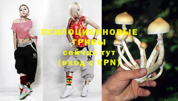 герыч Бугульма